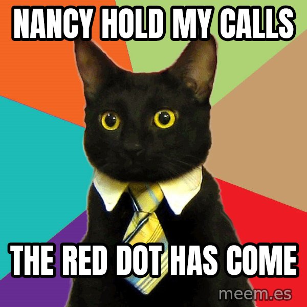 Business Cat meme: Nancy hold my calls / the red dot has come