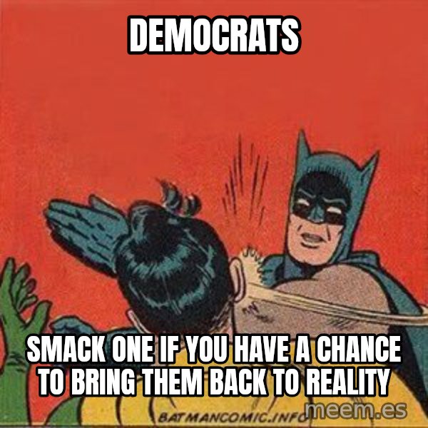 batman slap robin meme: democraTS / SMACK ONE IF YOU HAVE A CHANCE TO BRING THEM BACK TO REALITY