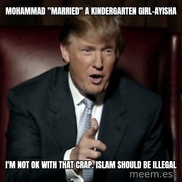 Donald Trump meme: mohammad "married" a kindergarten girl-ayisha / i'm not ok with that crap.  islam should be illegal