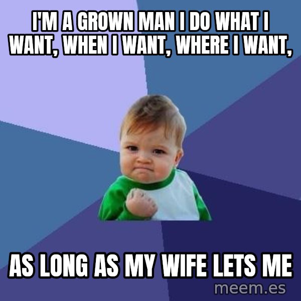 Success Kid meme: I'm a Grown Man I do what I want, when I want, Where I want, / As long as my wife lets me