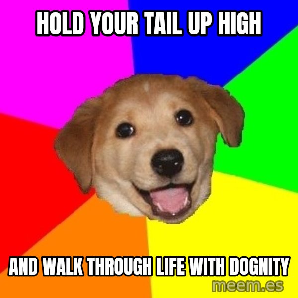 Advice Dog meme: hold your tail up high / and walk through life with dognity