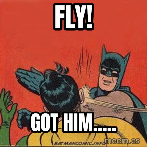 batman slap robin meme: FLY! / got him.....
