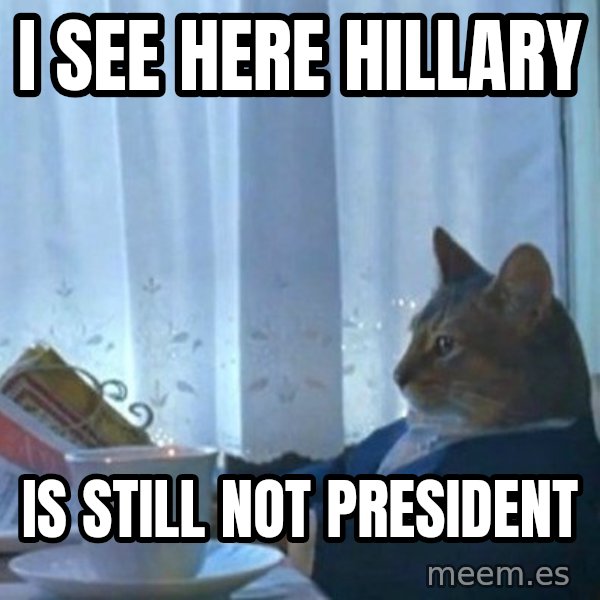 newspaper cat realization meme: i see here hillary / is still not president