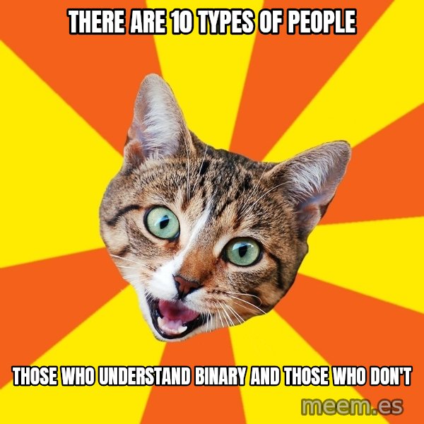 Bad Advice Cat meme: THERE ARE 10 TYPES OF PEOPLE / THOSE WHO UNDERSTAND BINARY AND THOSE WHO DON'T