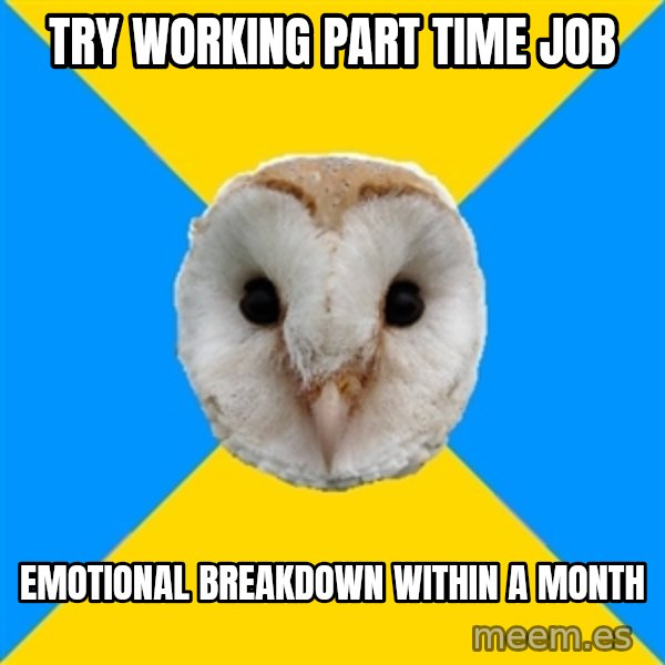 Bipolar Owl meme: Try Working PART TIME job / Emotional Breakdown Within A month