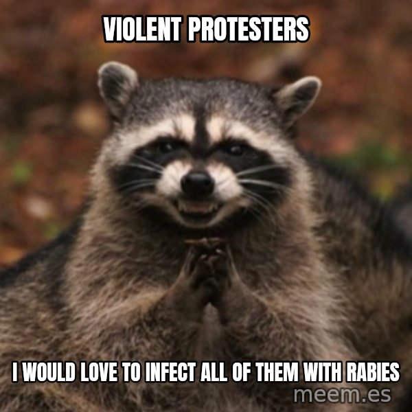 evil raccoon meme: Violent protesters / I would love to infect all of them with rabies