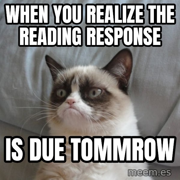 Grumpy Cat  meme: When you realize the reAding response / Is dUe tommRow