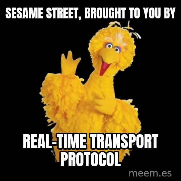 BIG BIRD meme meme: sesame street, brought to you by / real-time transport protocol