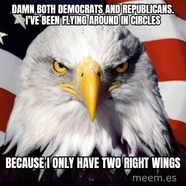Freedom Eagle  meme: damn both democrats and republicans. i've been flying around in circles / because i only have two right wings