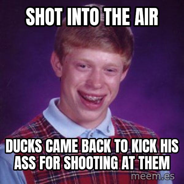 Bad Luck Brian meme: shot into the air / ducks came back to kick his ass for shooting at them