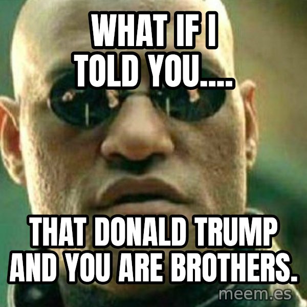 What If I Told You meme: what if i told you.... / that donald trump and you are brothers.