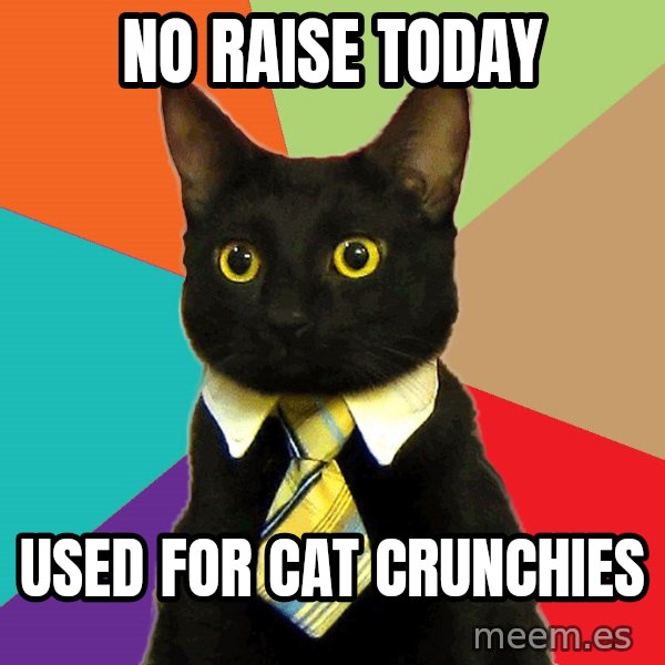 Business Cat meme: no raise today / used for cat crunchies