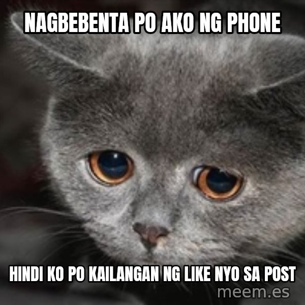 Sadcat meme: nagbebenta po ako ng phone / hindi ko po kailangan ng like nyo sa post