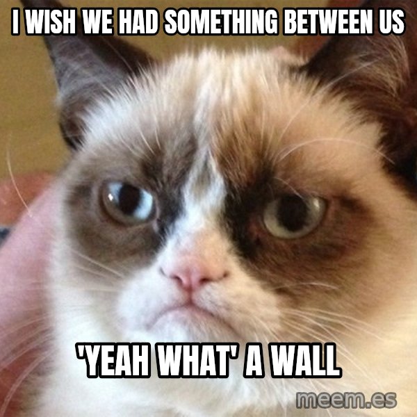Angry Cat Meme meme: i wish we had something between us / 'yeah what' a wall