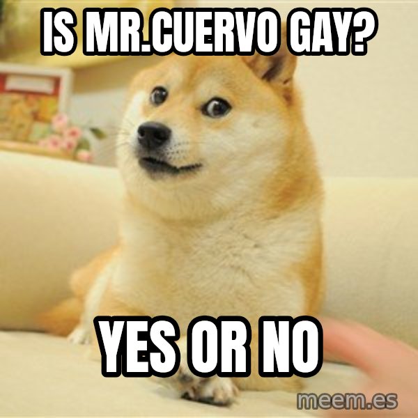 so doge meme: Is MR.CUERVO GAY? / YES OR NO