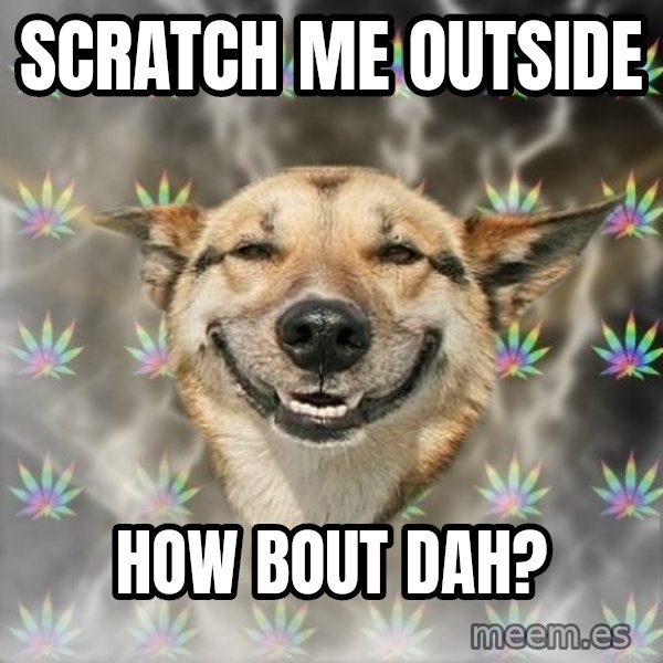Stoner Dog meme: SCRATCH ME Outside / how bout dah?