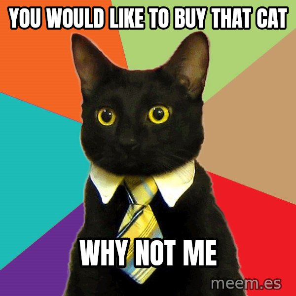 Business Cat meme: YOU WOULD LIKE TO BUY THAT CAT / WHY NOT ME