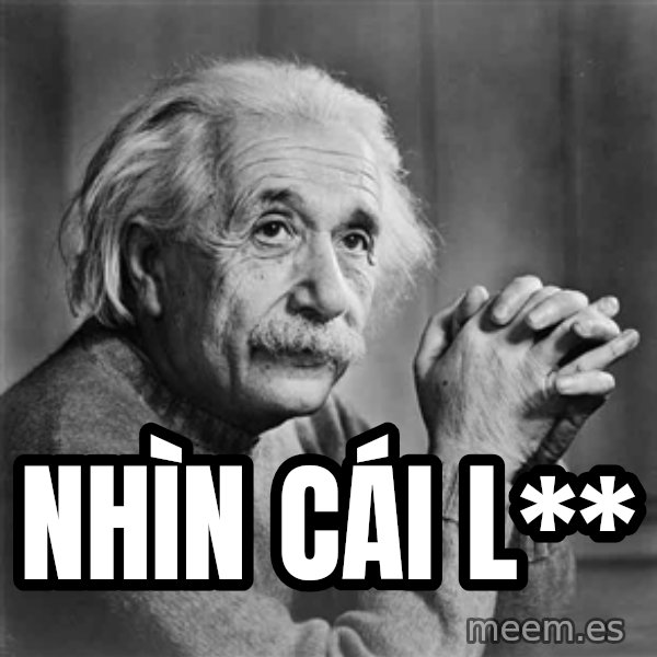 Albert Einstein meme: nhìn cái l**