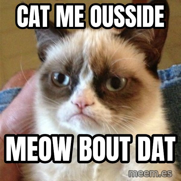 Grumpy Cat  meme: CAT ME OUSSIDE / MEOW BOUT DAT