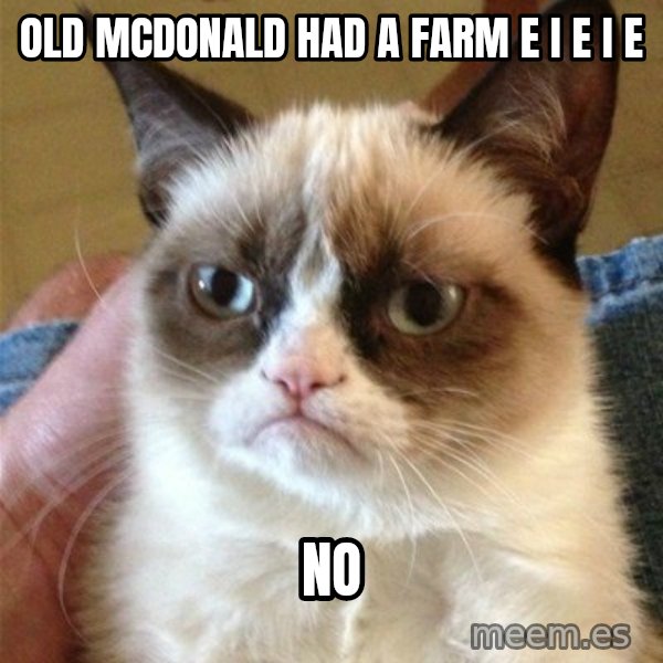 Grumpy Cat  meme: Old mcdonald had a farm e i e i e / no