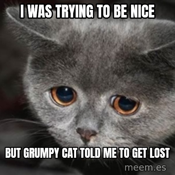Sadcat meme: i was trying to be nice / but grumpy cat told me to get lost