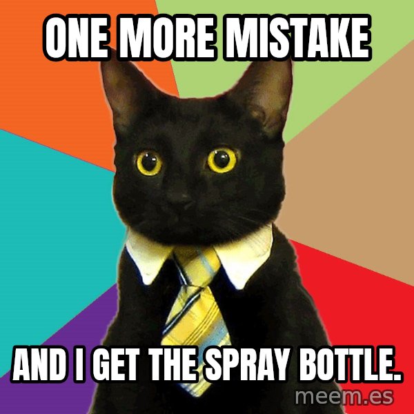 Business Cat meme: One more mistake / And i get the spray bottle.