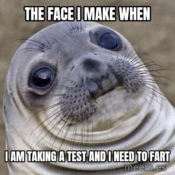 Awkward Seal meme: The face I make when / I am taking a test and I need to fart