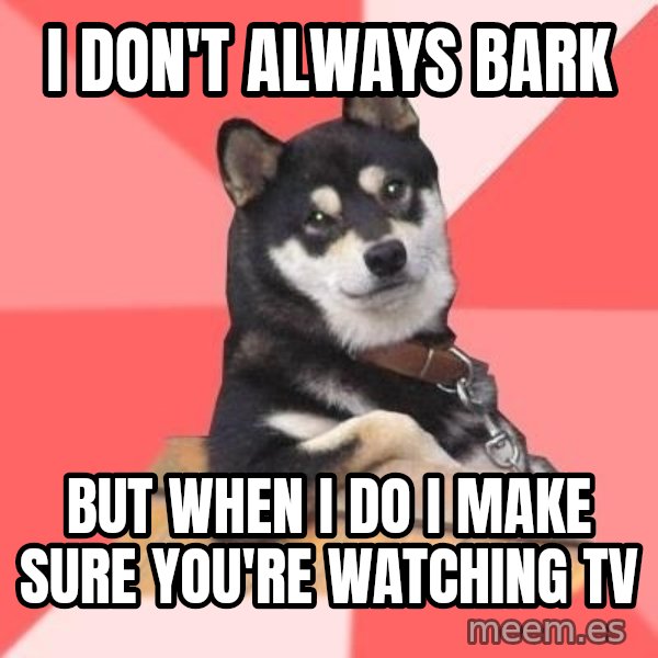 Cool Dog meme: I Don't always bark / but when i do i make sure you're watching tv