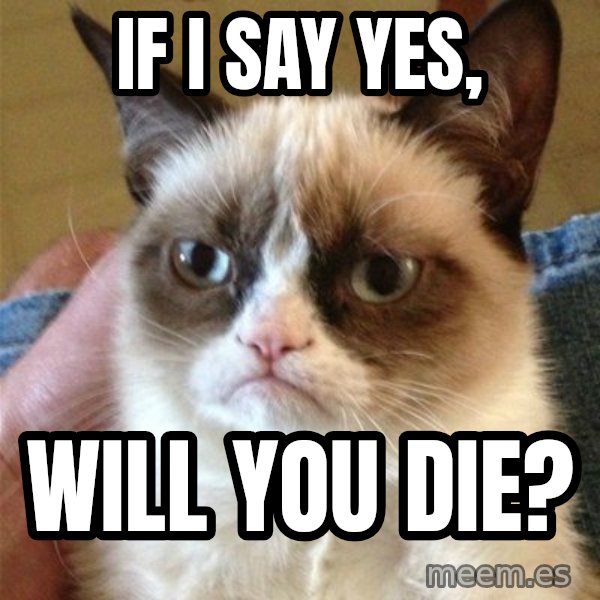 Grumpy Cat  meme: If i say yes, / Will you die?