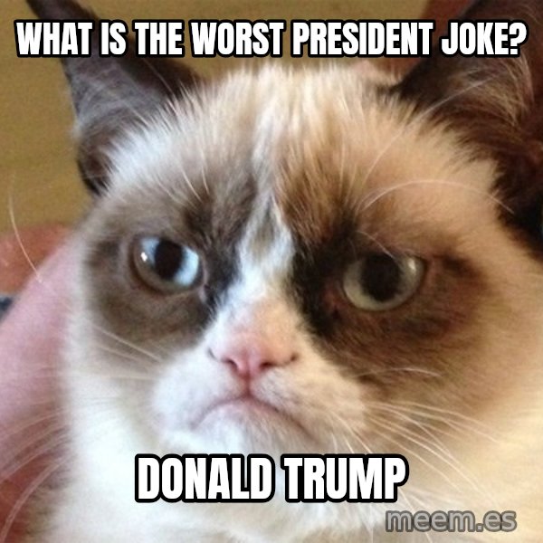 Angry Cat Meme meme: what is the worst president joke? / Donald Trump