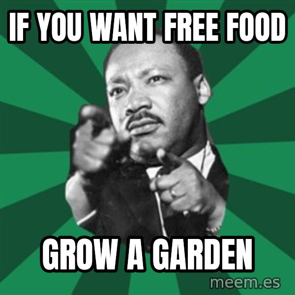 Martin Luther King jr.  meme: if you want free food / grow  a  garden