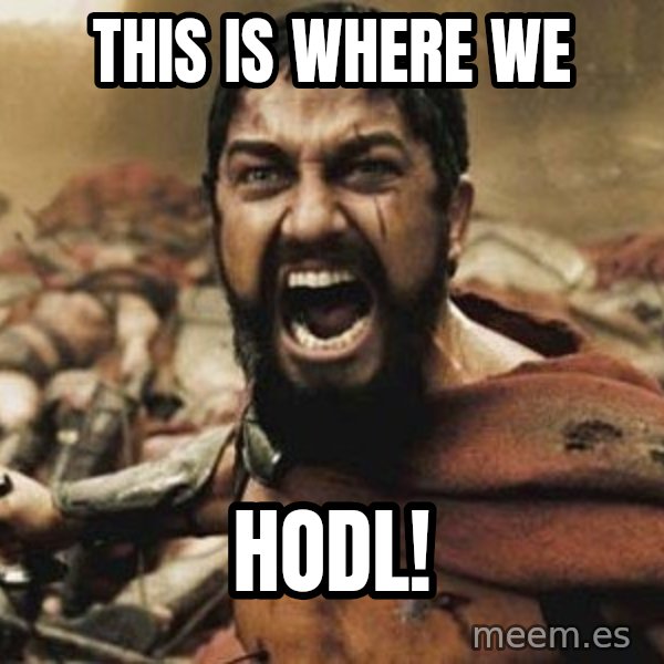 300 meme: This Is Where we / Hodl!