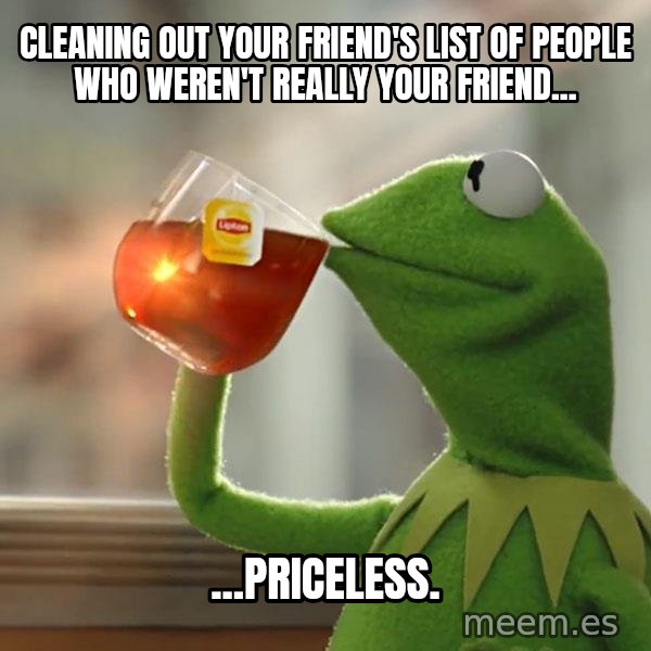 Kermit The Frog Drinking Tea meme: CleaNing ouT your friend's list of people who weren't really your friend... / ...prIceless.