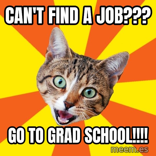 Bad Advice Cat meme: Can't Find a Job??? / Go to Grad School!!!!