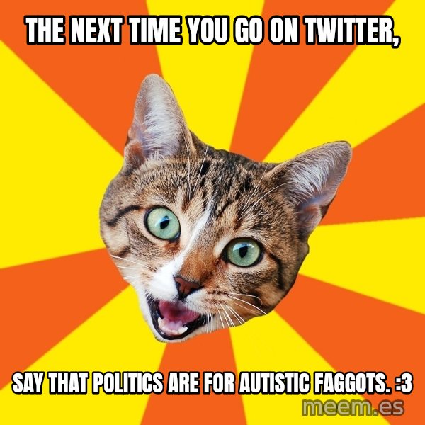 Bad Advice Cat meme: The next time you go on Twitter, / Say that politics are for autistic faggots. :3