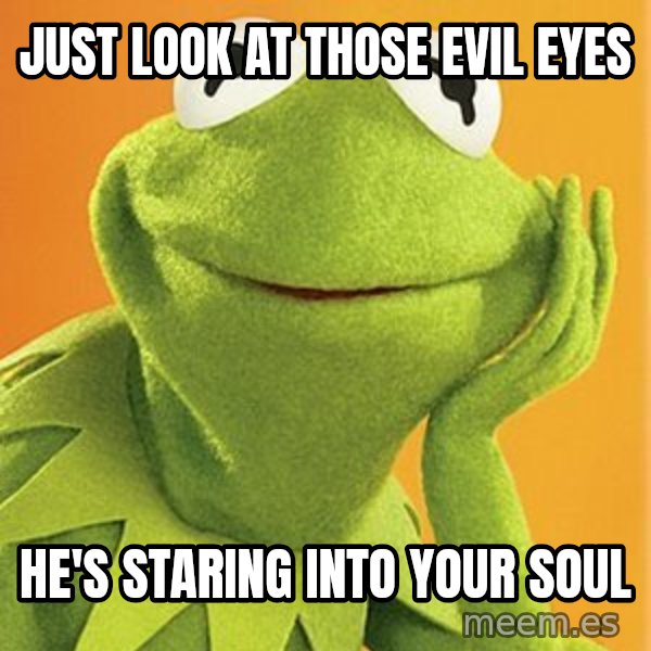 Kermit the frog meme: Just look at those evil eyes / He's staring into your soul