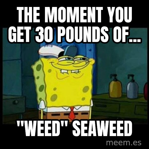 Don't you, Squidward? meme: The MOMENT you get 30 pounds of... / "Weed" seaweed