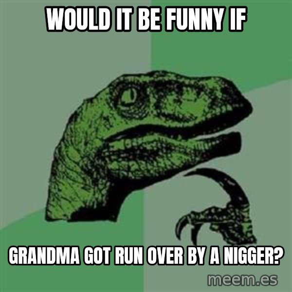 Philosoraptor meme: Would it be funny if / Grandma Got Run Over by a Nigger?