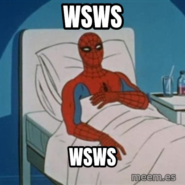 spiderman hospital meme: wsws / wsws