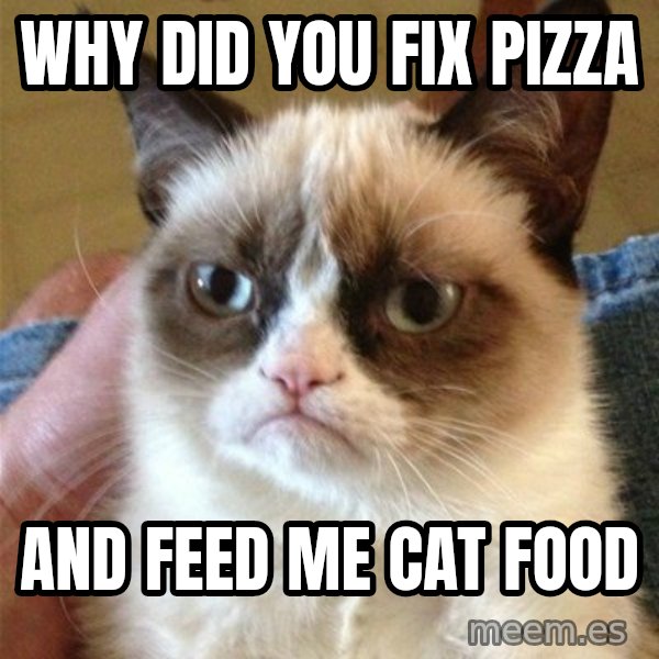 Grumpy Cat  meme: why did you fix pizza / And feed me cat food