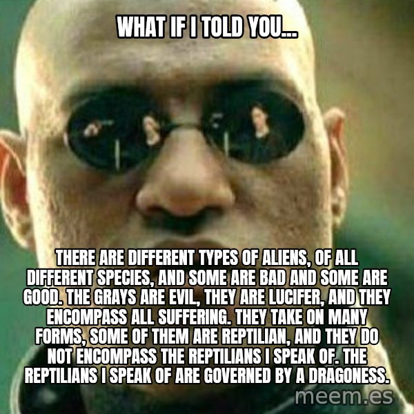 What If I Told You meme: What if I told you... / There are different types of aliens, of all different species, and some are bad and some are good. The grays are evil, they are lucifer, and they encompass all suffering. They take on many forms, some of them are reptilian, and they do not encompass the reptilians I speak of. The reptilians I speak of are governed by a Dragoness.