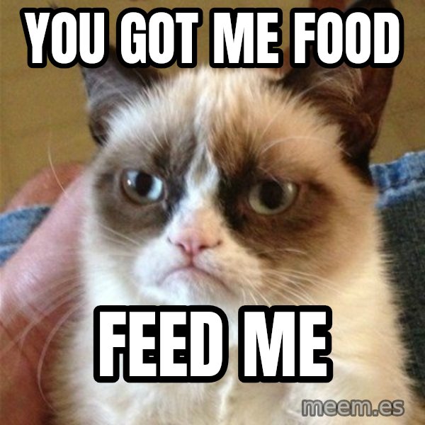 Grumpy Cat  meme: you got me food / feed me
