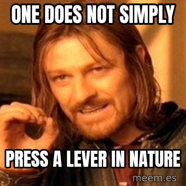 One Does Not Simply meme: one does not simply / press a lever in nature