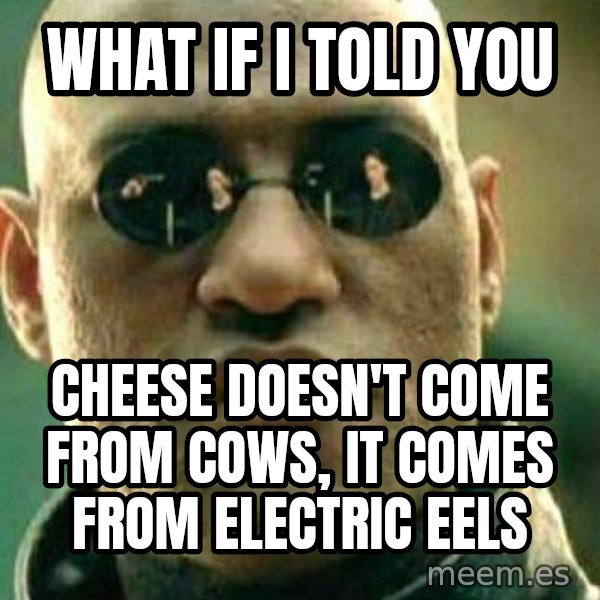 What If I Told You meme: What if I told you / cheese doesn't come from cows, it comes from electric eels