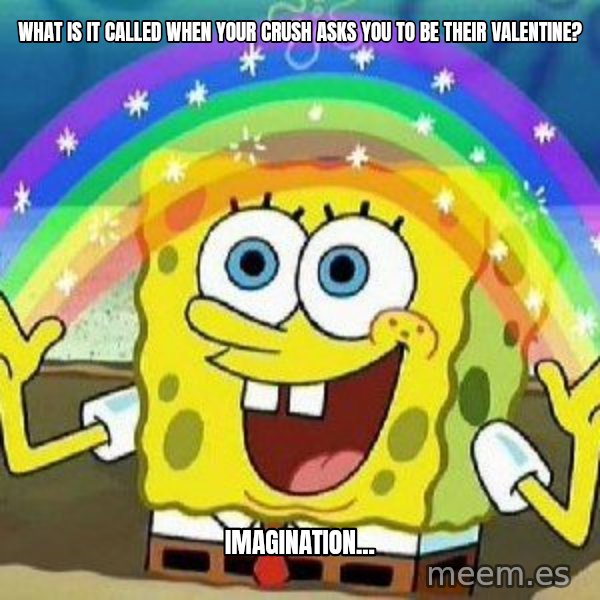 Imagination meme: What is it called when your crush asks you to be their valentine? / Imagination...