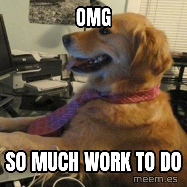 I have no idea what I'm doing - Dog with Tie meme: OMG / so much work to do