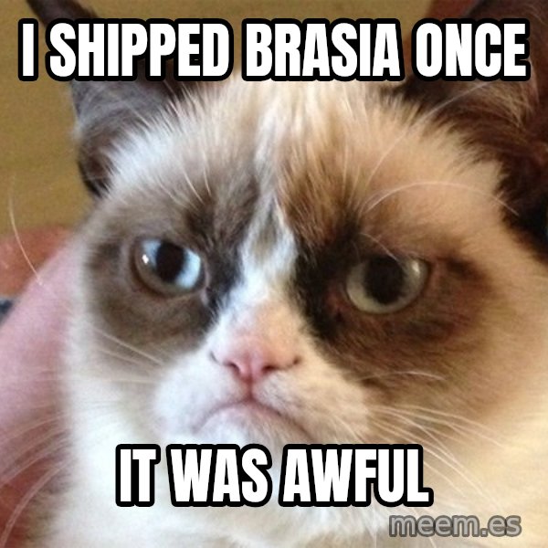 Angry Cat Meme meme: I shipped brasia once / it was awful