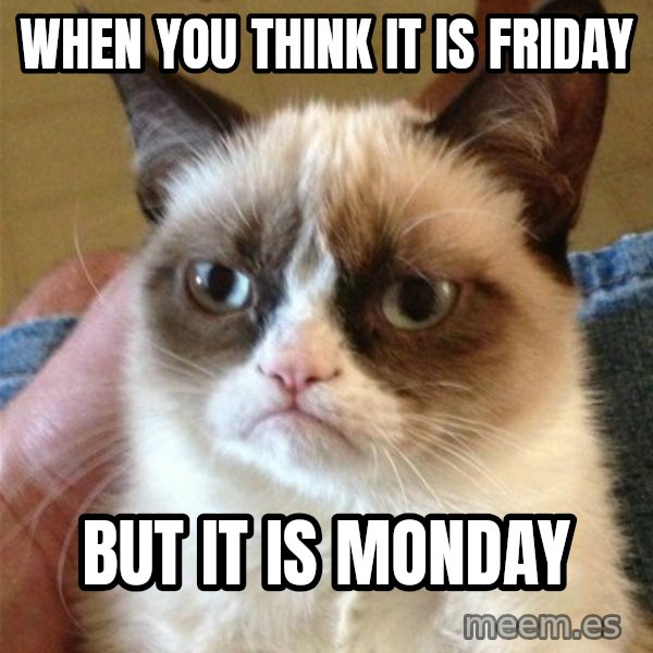 Grumpy Cat  meme: When you think it is friday / but it is monday