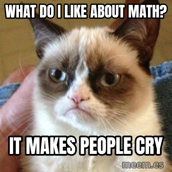 Grumpy Cat  meme: What do I like about math? / It makes people cry