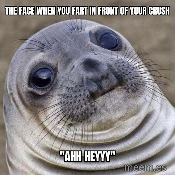 Awkward Seal meme: The face when you fart in front of your crush / "ahh heyyy"